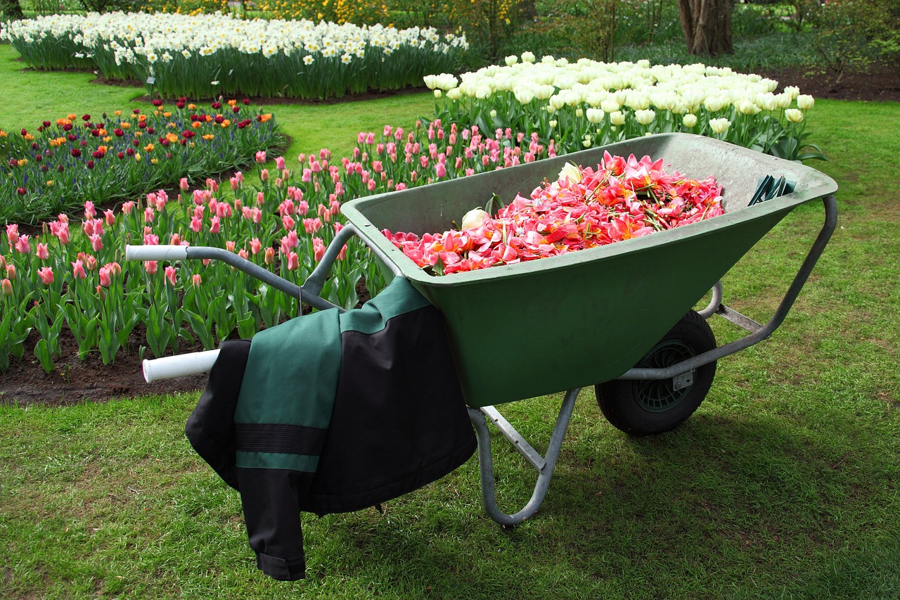 Hoe versier je je tuin na de verbouwing?