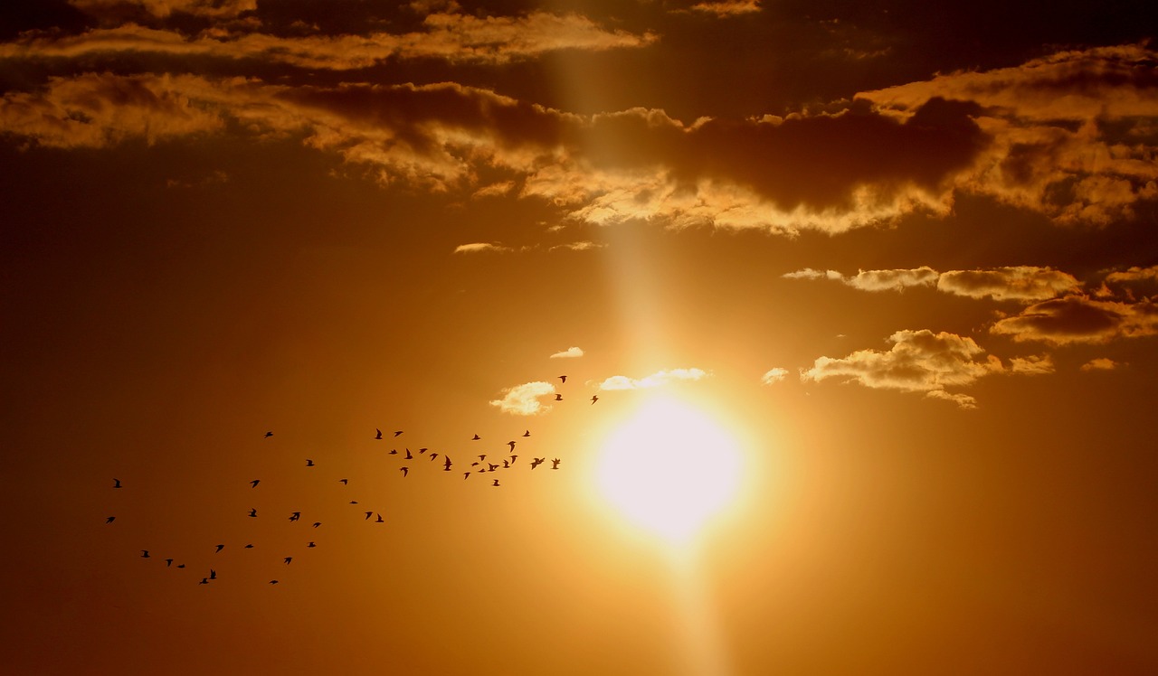 Zonwering een duurzame oplossing voor klimaatbeheersing van bedrijven