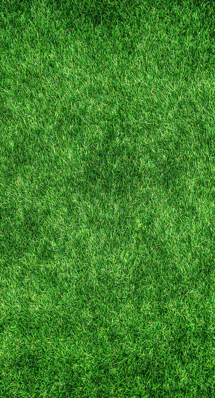 Grasmat of nepgras in de tuin? Wat zeggen de tuinexperts?