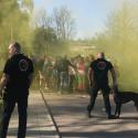 Honden_Beveiliging