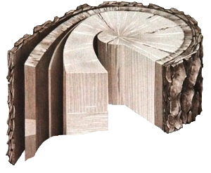 Madeiras Bouw Madeiras Bouw